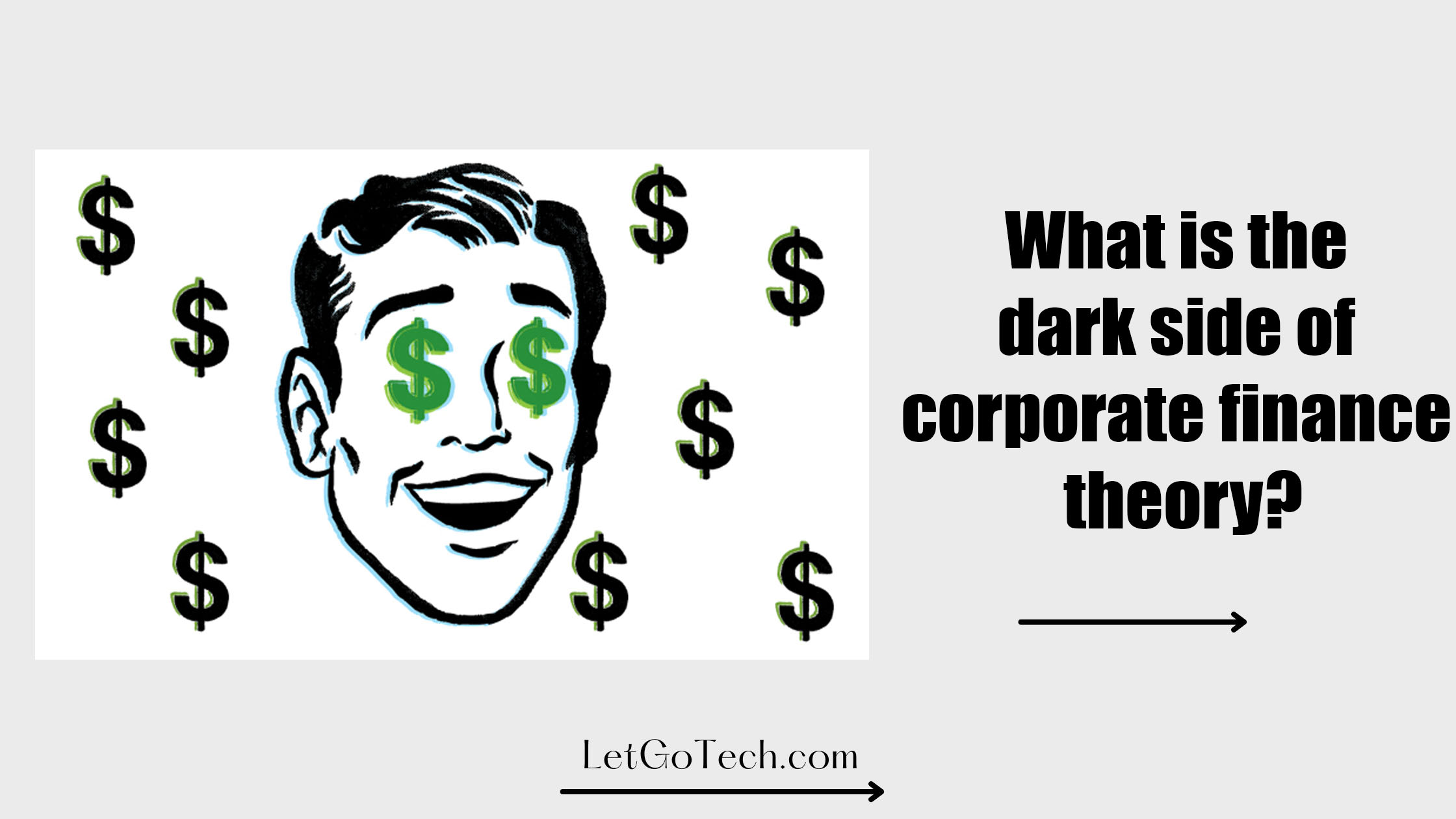 What is the dark side of corporate finance theory?